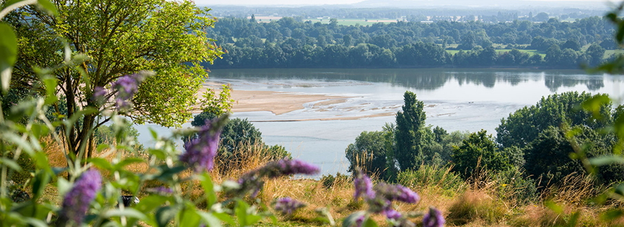 camping_chantepie_carrousel_1