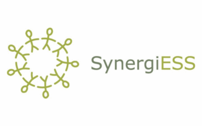 SynergiESS : ensemble pour le territoire